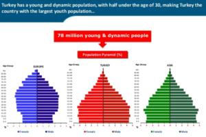 Turkish demographic 'pyramid' graphics
